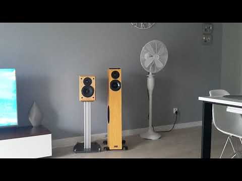 Audio Physic Tempo VI sound test