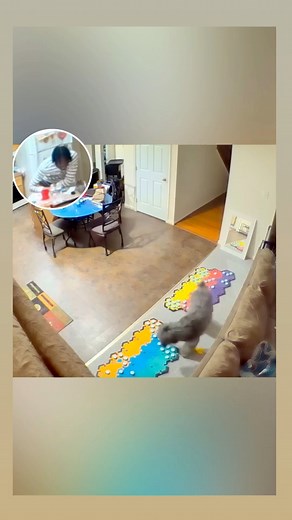 I told y’all season 3 of Oh My Mylo was a whole other level of mayhem 😮‍💨 🔗Button link in bio! 🔗 (current sale: 12% off $50 or more! Use code: MYLO) 🔗Merch in bio!🔗 #talkingdogsofinstagram #fluentpet #smartdog #ohmymylo | Ohmymylo