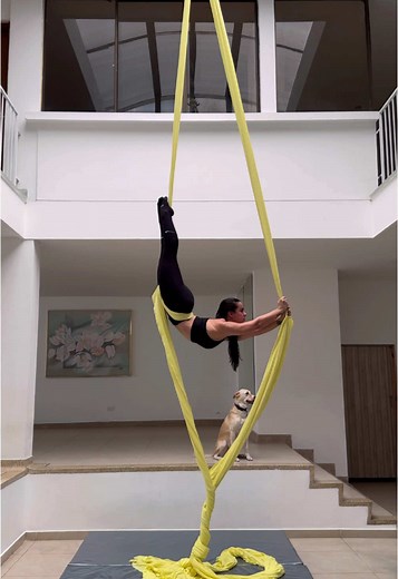 Exploring the Back Bend Pose in Aerial Silks
