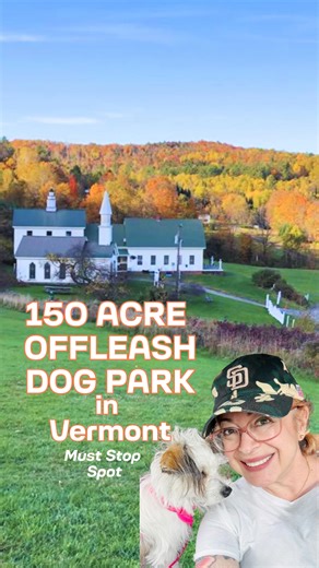 Welcome to dog Mountain in St. Johnsbury, Vermont, a 150 acre off leash paradise where dogs run, free, trails, wind through beautiful Vermont scenery, and the world-famous Dog Chapel celebrates the bond between people and their pups. This is the perfect stop for combining a leaf peeping and dog friendly road trip. 🐕 🚐 = 🎉 (📸/drone footage courtesy of Kyle Roberts/Getty/Lori S.) And, is it a coincidence that the address starts with 143, which is code for I love you? ❤️ 🐶 🤟 📍 143 Parks Rd, 