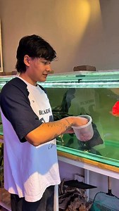 Aba janey haina ta @fish.home3 ma different variety ko fish herna? #foryourpage #unfreezemyaccount #goviral | Abhinav Bajra