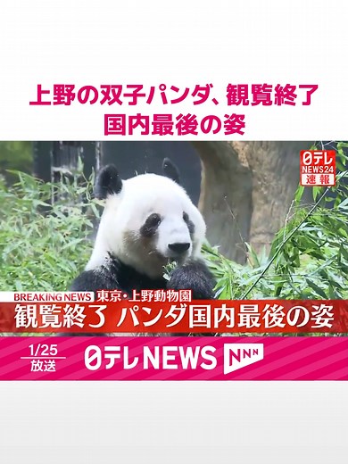 中国へ返還される東京・#上野動物園の双子の#ジャイアントパンダ。27日の旅立ちを前に、25日が観覧最終日となり、観覧が終了しました。#日テレnews#tiktokでニュース