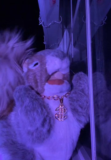 nibs (@nibsgonewild)’s video of super bowl