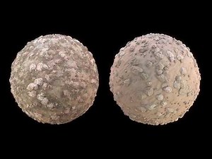 Sand Ground - Substance Designer