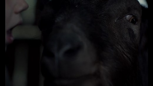 The Witch (2016) - Where to Watch