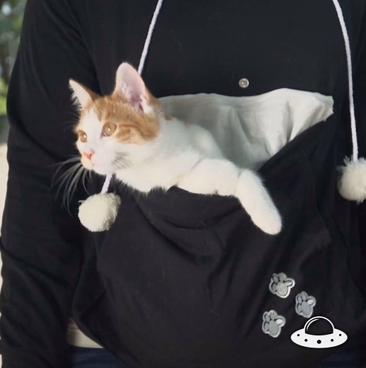 A hoodie that lets you take your pet anywhere 😻 Get your HERE ➡️ https://woooxify.com/PouchHoodie | Wooxify