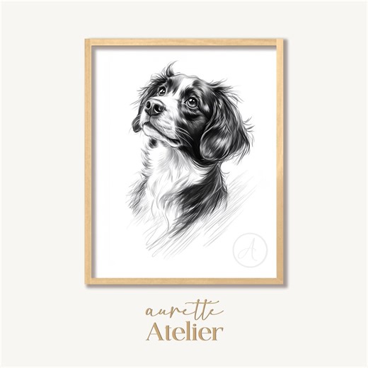 English Springer Spaniel Pencil Sketch - Minimalist Dog Portrait, Neutral Monochrome Wall Art, Realistic Pet Picture, Printable Art 334 - Etsy