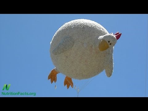 Chicken Big: Poultry and Obesity