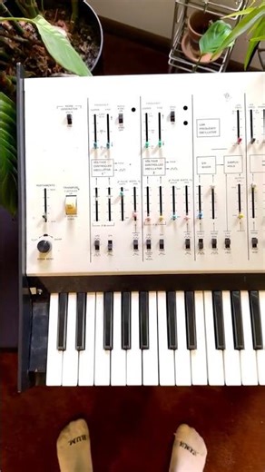 A Look Inside A ARP Odyssey | #arp #synth #synthesizer #synthwave #synthography