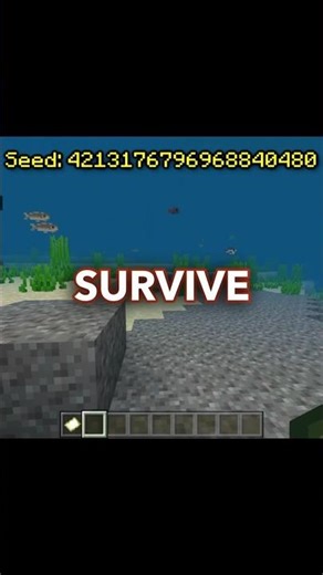 SPAWN IN THE OCEAN 1.21+ SEED Minecraft Bedrock/Java
