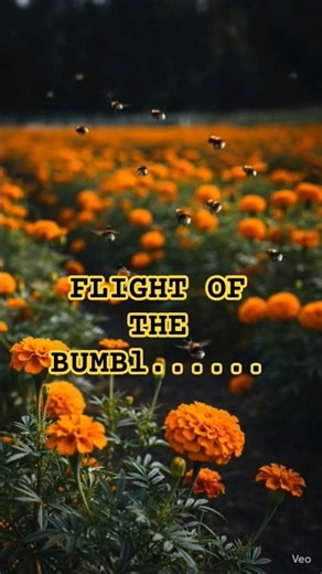 Wait for the Buzz... 🍯 #Shorts #Trending #Bees