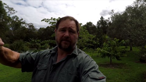 Cyclone Debbie Self Sufficient Garden Fruit Trees & More