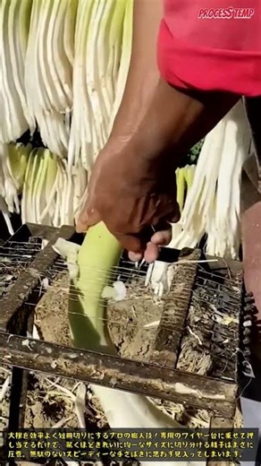 大根をワイヤー台で一気にスライス！職人の華麗な包丁さばきに注目 #radish #cutting #foodprocessing #craftsmanship #kitchenhacks