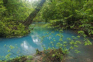 Costa Rica: the ‘living Eden’ designing a template for a cleaner, carbon-free world