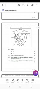 Generative summary2|PageGRD 12 LFSC REVISION BOOKLET- P1 COM... | Filo