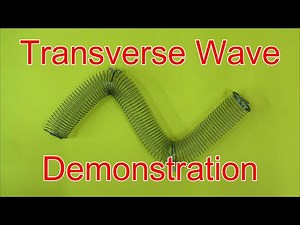 Transverse Waves Demonstration| Using A Slinky