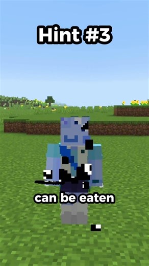 Guess the Minecraft Item in 6 Hints | Part 6