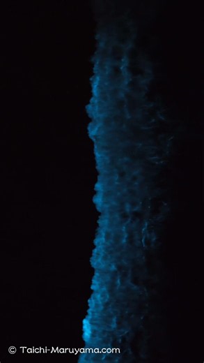 夜光虫🌌一種のアート映像のように美しいですね。。