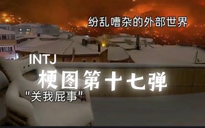 INTJ｜meme第十七弹
