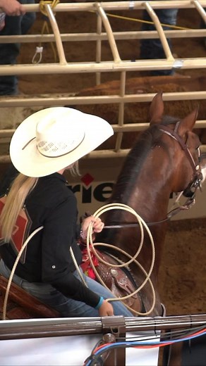 Shes 14, and shes leading the Pro division to the Women’s Rodeo World Championship Semifinals tonight in Cowtown Coliseum. The name’s Harley Pryor, heard of her? Link in bio to learn more. #BreakawayRoping #RodeoTok #Roping #Cowgirl #RodeoAthlete #HarleyPryor #RopingTok