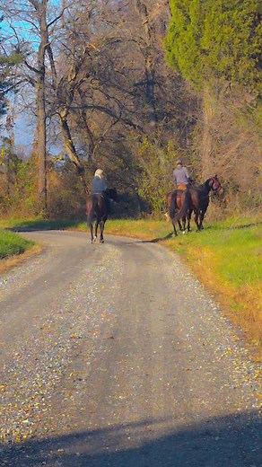 Show me you're a Rural Carrier without saying you're a rural carrier!! #ruralcarrierlife #peakseason #usps