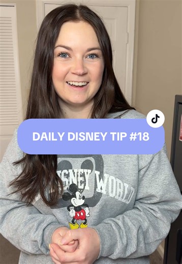 Top Disney World Tips for Your Visit