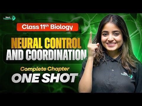 Neural Control and Coordination Class 11 One Shot | 11th Biology Chapter-18 Revision | CBSE 2026
