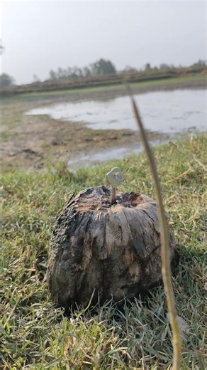 I lost my house key 😭