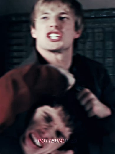 Silly Merlin Moments Captured