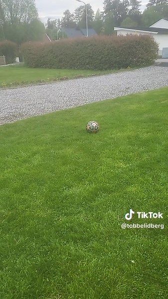 lusan (@lusan.uve)s videor med originalljud - lusan