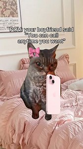 I’m sorry baby 😢 #cat #cats #catmemes | Relatable Cute Cats