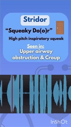 DISEASE INDICATION IN LUNGS THROUGH STETHOSCOPE # shorts # biology # shorts