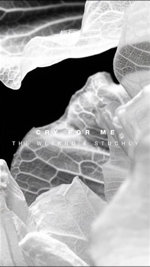 ​‪@TheWeeknd‬’s “Cry For Me” remix is out! #theweekend #melodictechno