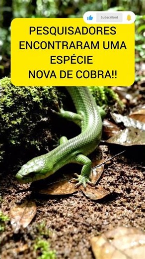 COBRA COM PATAS NA AMAZÔNIA 😱😱🐍 #cobras #snake #amazonia #ias #ficçãocientífica #animais #fauna