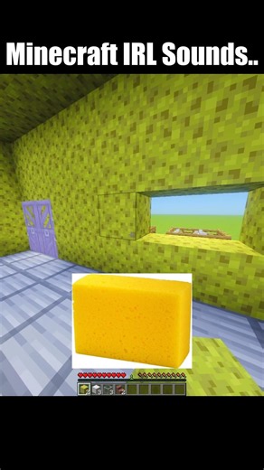 🔊 Minecraft IRL Sounds: Sponge & Iron Blocks! 🤯
