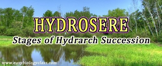 Hydrosere Definition and Seral Stages (PPT) | EasyBiologyClass