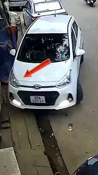 Hilarious Reverse Driving Blunders #shorts