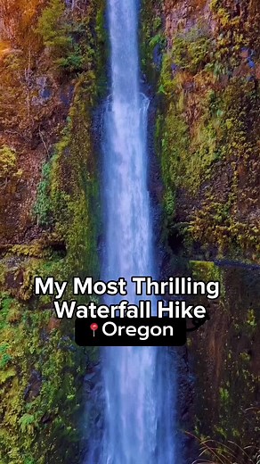 Tunnel Falls in Oregon has got to be the most thrilling (and one of the most beautiful) waterfalls I’ve ever hiked to! 😍 - 𝐦𝐨𝐫𝐞 𝐢𝐧𝐟𝐨 𝐛𝐞𝐥𝐨𝐰 ⤵️ 🔖 𝘚𝘢𝘷𝘦 𝘧𝘰𝘳 𝘺𝘰𝘶𝘳 𝘧𝘶𝘵𝘶𝘳𝘦 𝘖𝘳𝘦𝘨𝘰𝘯 𝘩𝘪𝘬𝘪𝘯𝘨 𝘢𝘥𝘷𝘦𝘯𝘵𝘶𝘳𝘦𝘴! __________ ‼️Always remember to practice all of the Leave No Trace principles - respect, protect and preserve momma earth and all her inhabitants!‼️ __________ The second I walked through the tunnel behind the falls and came out on the other side, I start