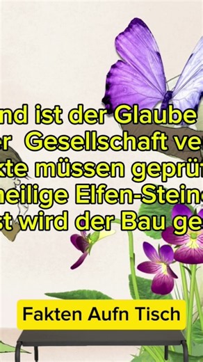 Die Elfen-Kommission Island 🧚 #elfe #island #fyp #crazy #viral