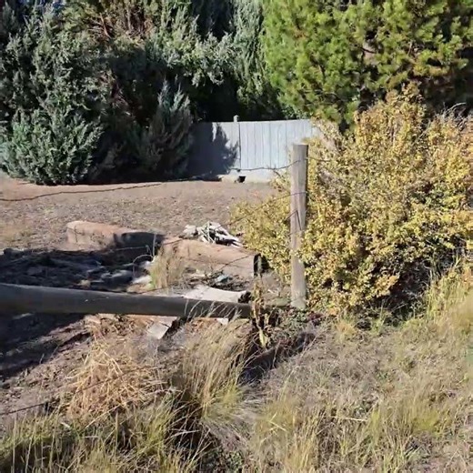 Area B Barbed Wire Fencing