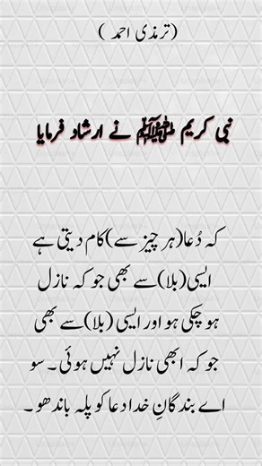 Hadees Shareef|| Hadees 05 || Hadees Nabvi