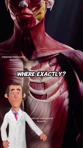 Understanding Muscle Growth: Recovery is Key