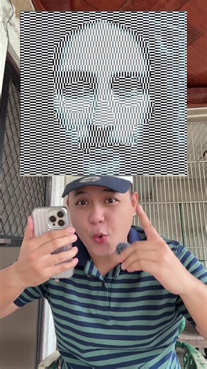 Discover the Hidden Image with This Optical Illusion