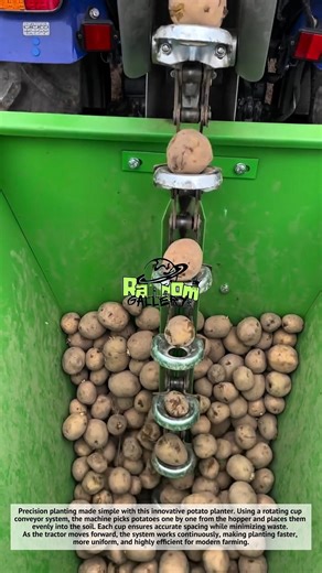 Amazing, Smart Potato Planting Machine Picks One by One Automatically! 🥔
