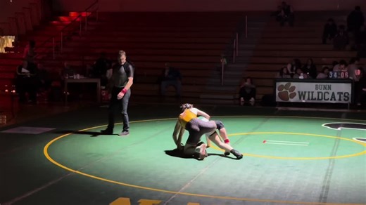 Understanding Competitive Wrestling Match Dynamics