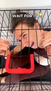 9.1K views · 53 reactions | Tree Man Prank vs Crazy Cat  | Shefali Rajput | Facebook