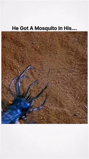 The Cineverse ✨ | Title: Evolution 👾🌍 Director: Ivan Reitman 🎬 Genre: Sci-Fi, Comedy, Action 🚀😂 Runtime: 101 minutes ⏱️ Language: English 🇺🇸 Release... | Instagram