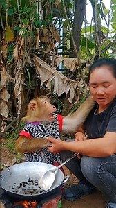 Great Video Best Video Of Animals SokYaa , Phao And ToTo Are Harmony and Fun WILL MAKE YOU SMILE