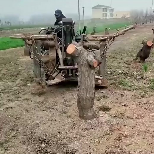 CRAZY Operator on Reels