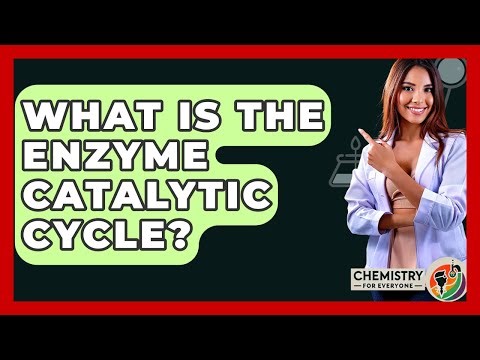 What Is The Enzyme Catalytic Cycle? - Chemistry For Everyone